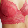 Kép 5/7 - Panache Selena hosszított melltartó - Paradise Pink