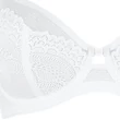 Kép 6/6 - Triumph Beauty-Full Darling W02