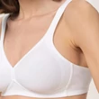Kép 8/12 - Triumph Modern Soft+Cotton N
